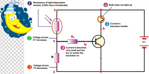 Mlm Not Light Up Transistor