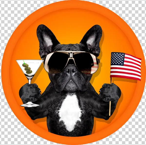 Presented By @titosvodka & Bar Proceeds Benefit @lasthopek9