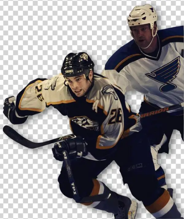 Re-pin If You Want Hockey Back