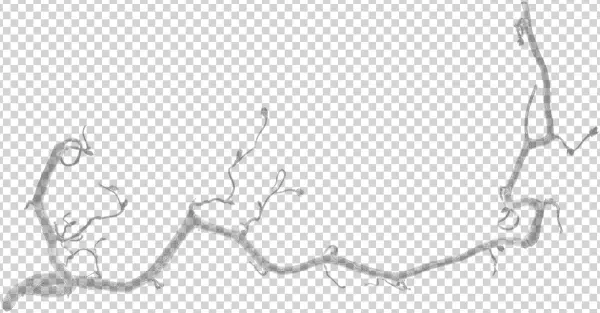 About Our Birds - Drawing