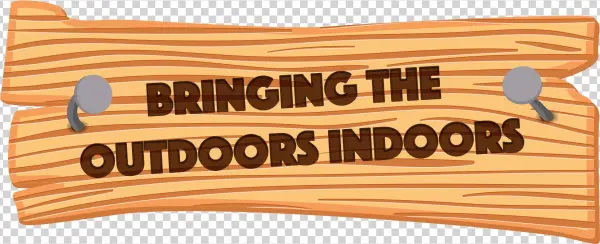 Come In To Play - Plywood