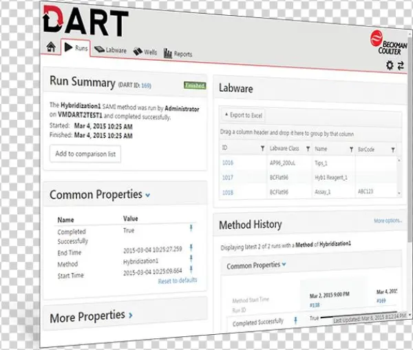 Dart Software