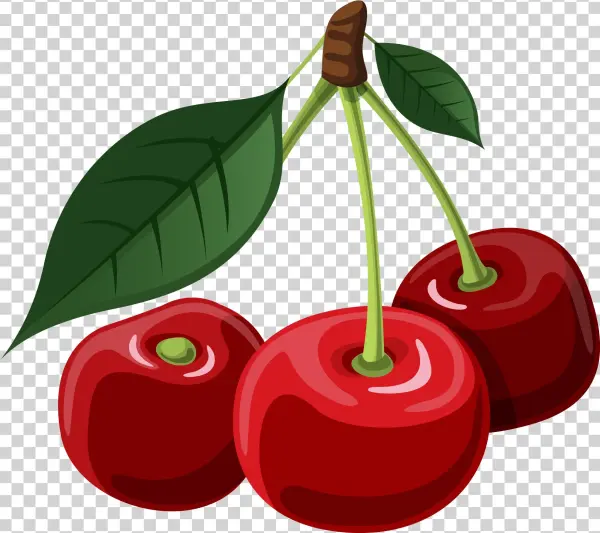 Download - Cherryclipart