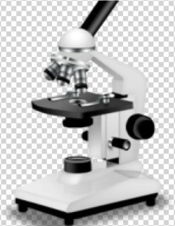 Eyepiece Or Ocular Lens