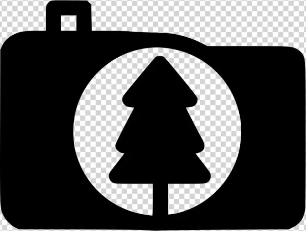 Forest Trees Photography Comments