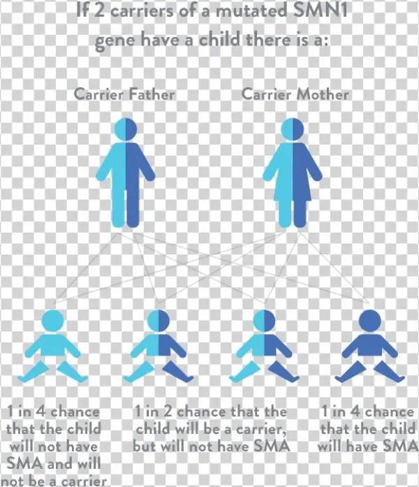 If You Have A Family History Of Spinal Muscular Atrophy,
