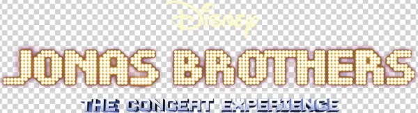 The Concert Experience - Illustration