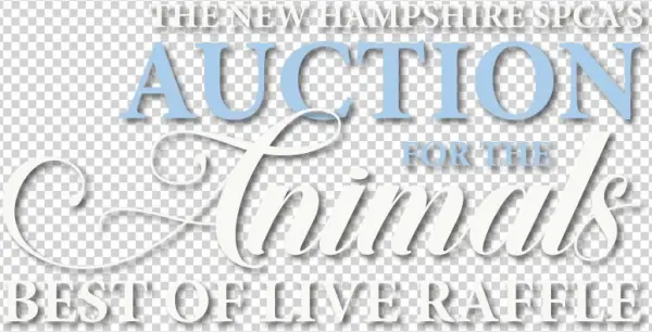 About The Best Of Live Raffle - Motionwear