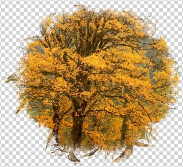 Ftestickers Sticker - Fall Backgrounds Nj