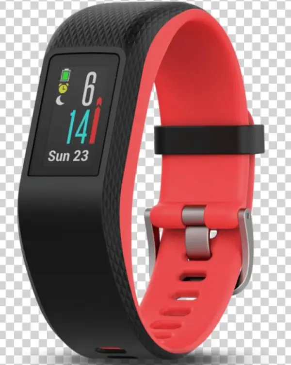 Garmin Activity Monitors Fuchsia / Small/medium Garmin - Vivosport Fuchsia