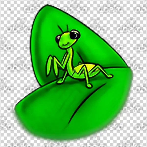 Insect Sticker - Mantis