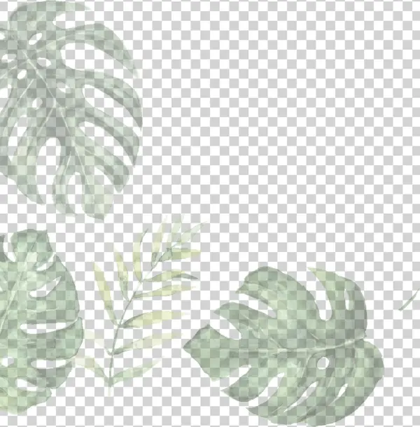 Leaf-2 - Illustration