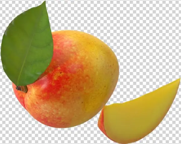 Mango - Fruit