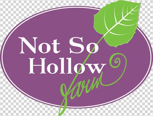 Not So Hollow Logo » Not So Hollow Logo - Graphic Design