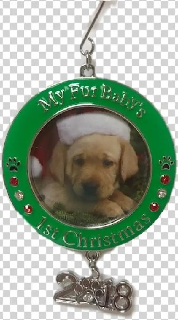 Pet's First Christmas - Dachshund