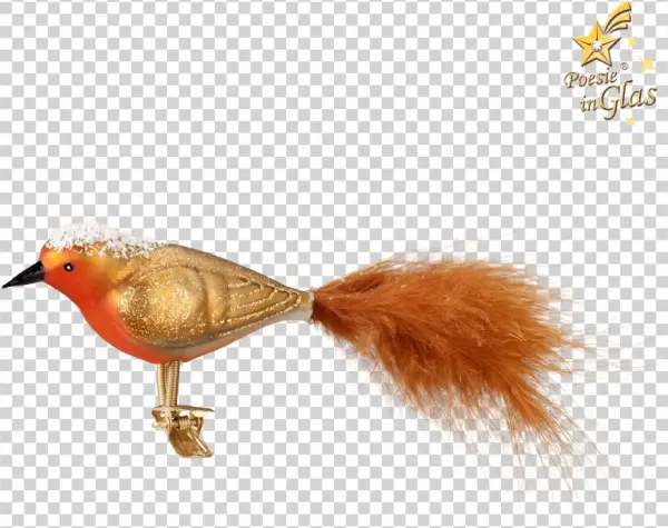 Robin On Clip - European Robin