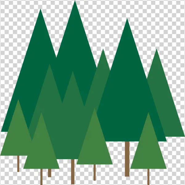 Tree - Christmas Day