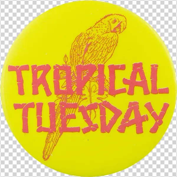 Tropical Tuesday - Circle