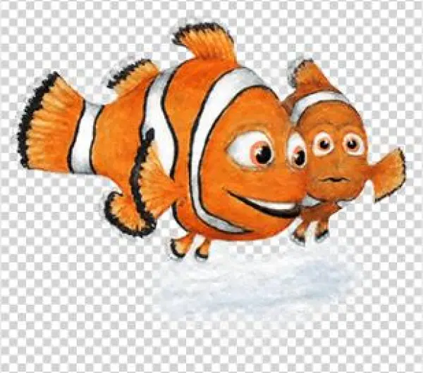 1 - Cynthia (subgenus)