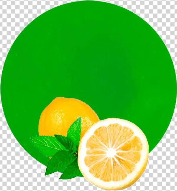 Com/wp And Mint Concentrate 1 - Rangpur