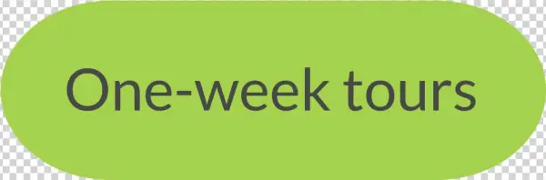 Contact Us - Parallel