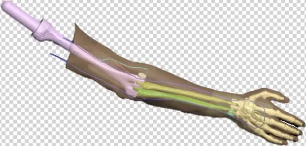 Detailed User Manual - Bowie Knife