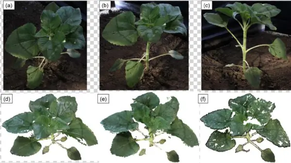 Download - Houseplant