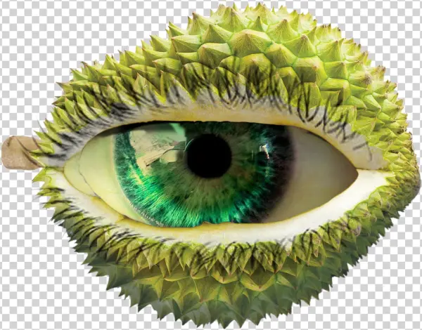 Durian Png