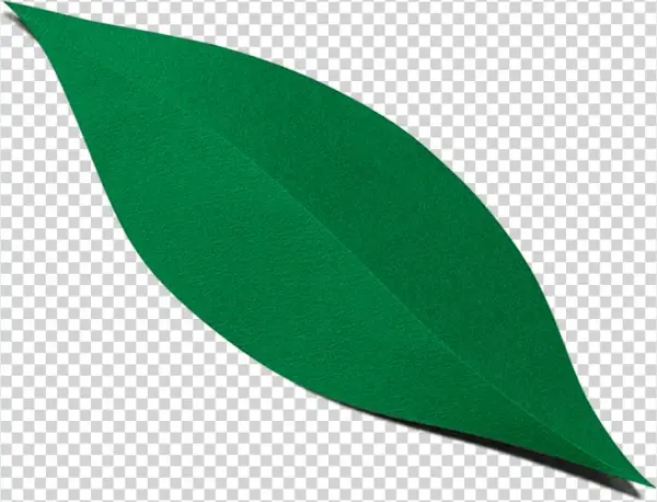 Find Lavva Near You - Tree