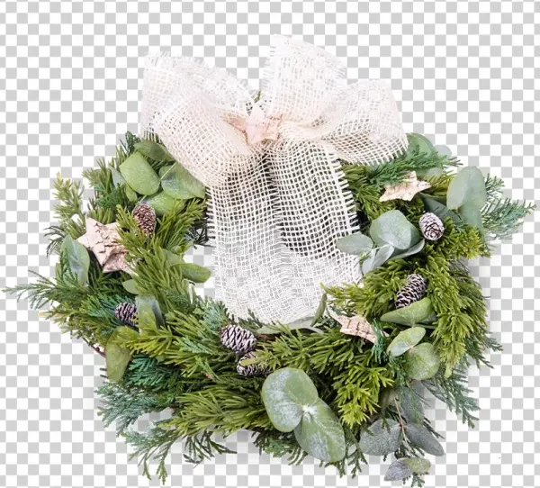 Natural Christmas Wreath - Wreath