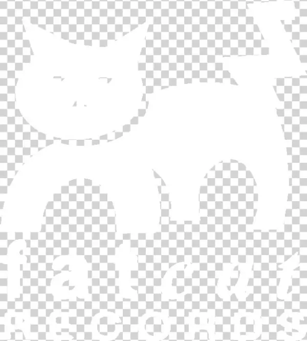 Twitter White Icon Png