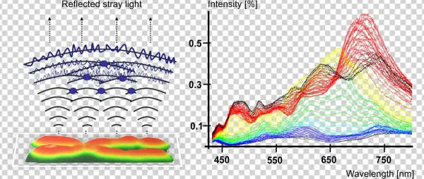 Interference Spectra Of An Unstained Chromosome - Diagram