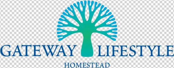 Seattle Safest Driver