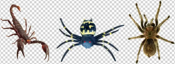 Spiders Butafpriâ Spider Man Toy Scorpion Tarantula - Kalajengking