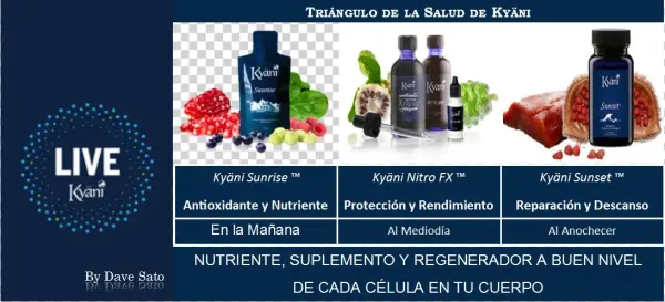 0 Replies 0 Retweets 1 Like - Kyani