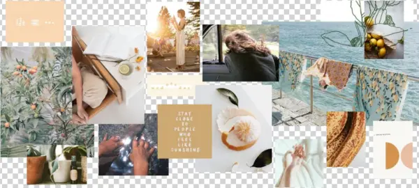 Bk Co, Wild Wagon Co, Shop Goodwin, The Binding - Collage