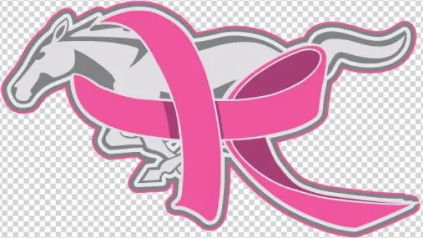 Cruise For A Cause - Mane