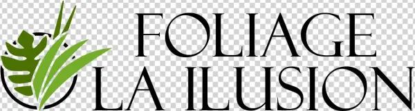 Foliage La Ilusion South America Colombia Farm Wholesale