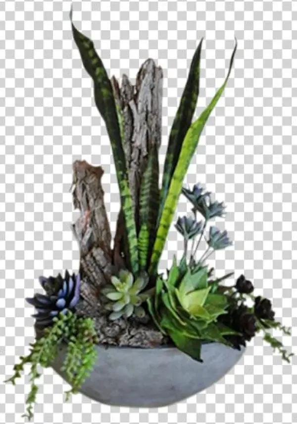Forever Succulents - Ikebana