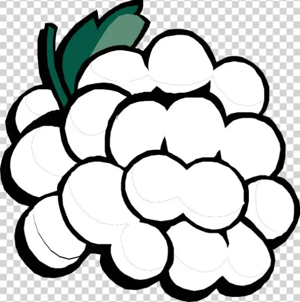 Grapes - Grapes Clip Art