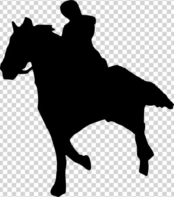 Horse Riding Silhouette - Stallion
