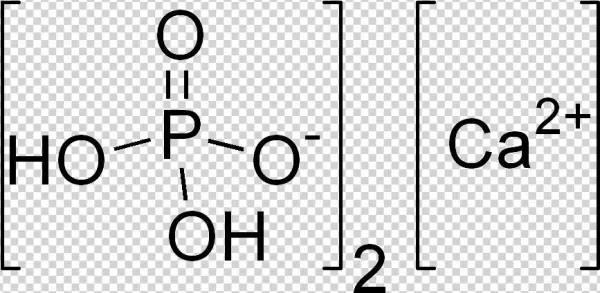 Images For Kids - Calligraphy