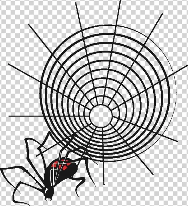 Input Spider And Web 2