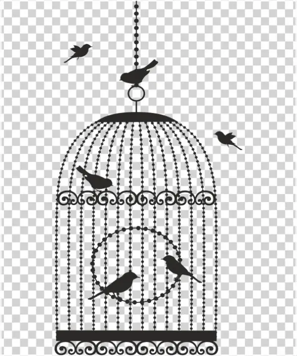 Jaulas Vintage Png - Gaiola Desenho Png