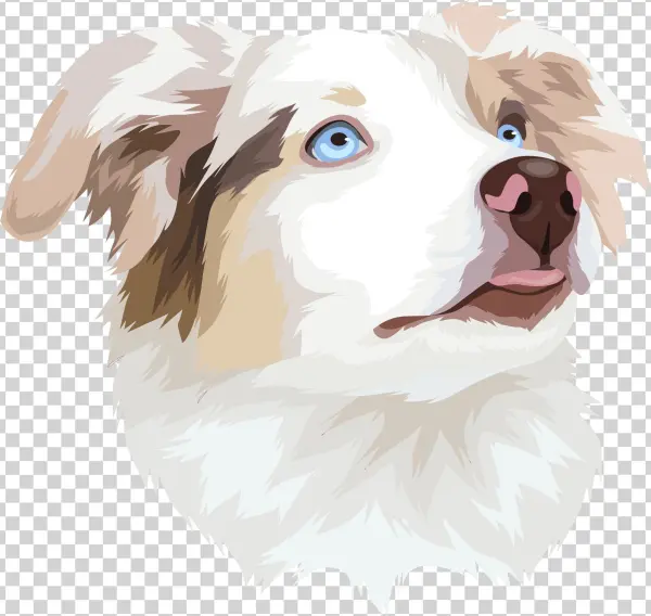 Kimberly In Easton, United States Purchased - Illustration