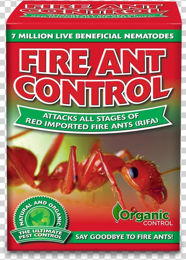 Note - Carpenter Ant