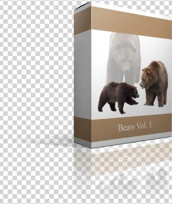 On Sale - Kodiak Bear
