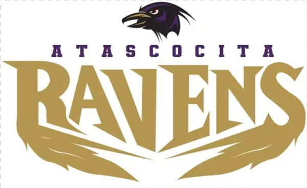 Ravens - Graphic Design
