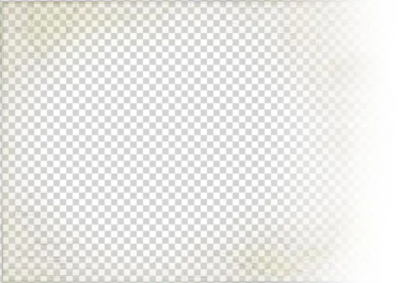 Shrimp Cocktail - Paper