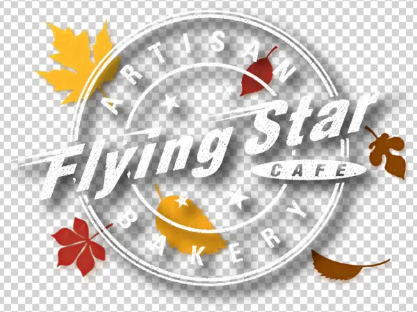 Southern Fried Chicken Sandwich11 - Illustration